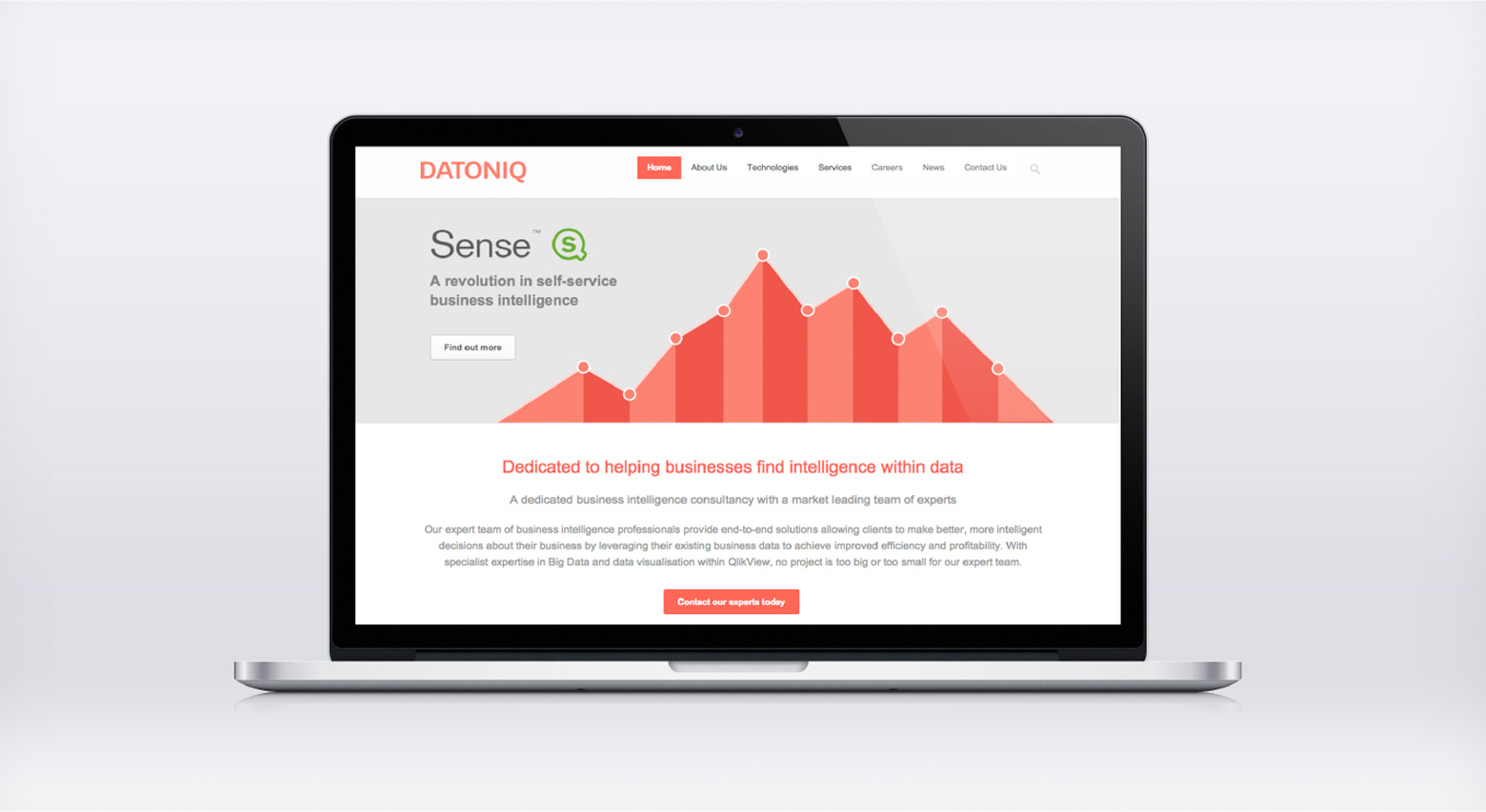 Datoniq website design